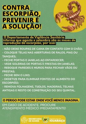 PREVINIR ESCORPIÃO